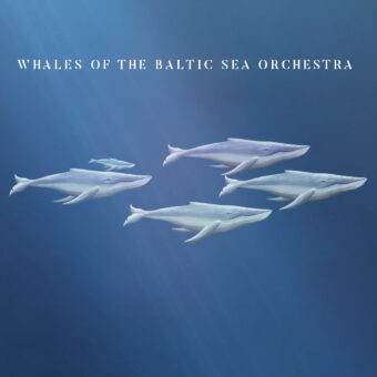 “Whales of the Baltic Sea Orchestra”, il nuovo video tratto da un brano di “Desdemona”, l’ultimo album dei Rossometile