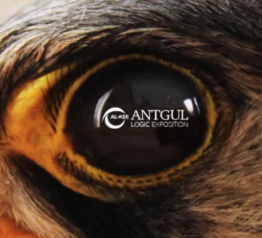 “Logic exposition” è il nuovo EP di Antgul