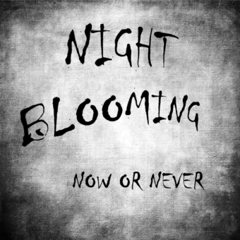 Now or Never dei Night Blooming – registrazione in presa diretta per l’ep di esordio della band