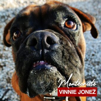 Vinnie Jonez Band – oggi esce Montecristo il nuovo singolo e video della rock band romana